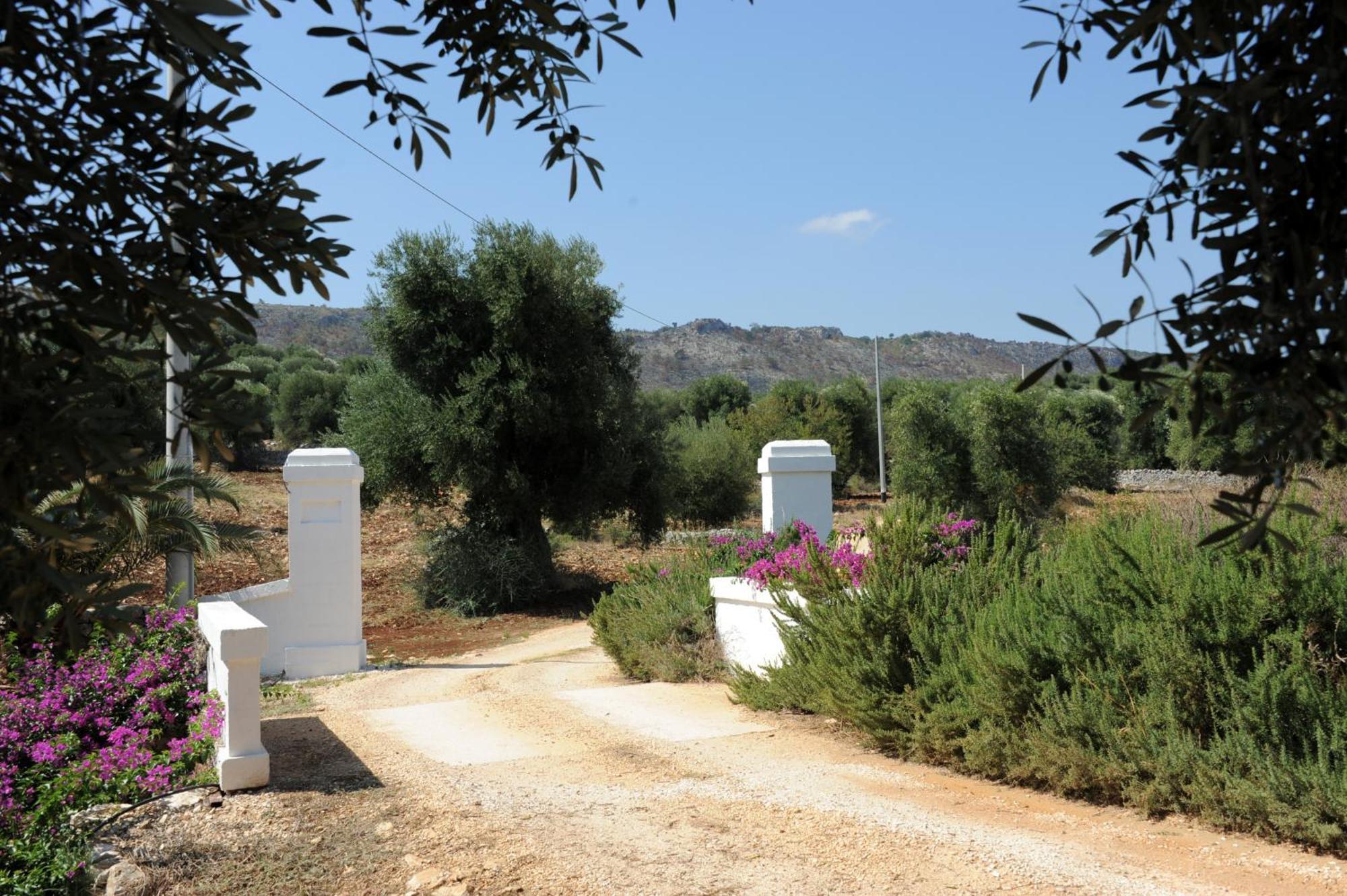 אוסטוני Masseria Lama Di Galizia מראה חיצוני תמונה