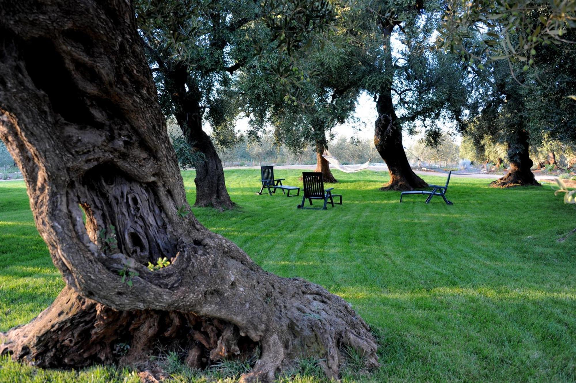 אוסטוני Masseria Lama Di Galizia מראה חיצוני תמונה