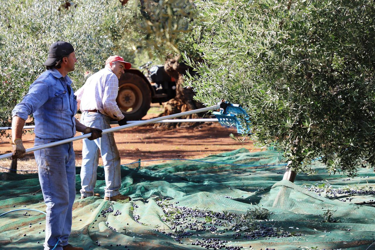 אוסטוני Masseria Lama Di Galizia מראה חיצוני תמונה
